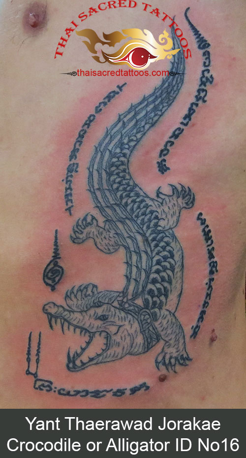 Yant Thaerawad Jorakae Crocodile or Alligator ID No 16