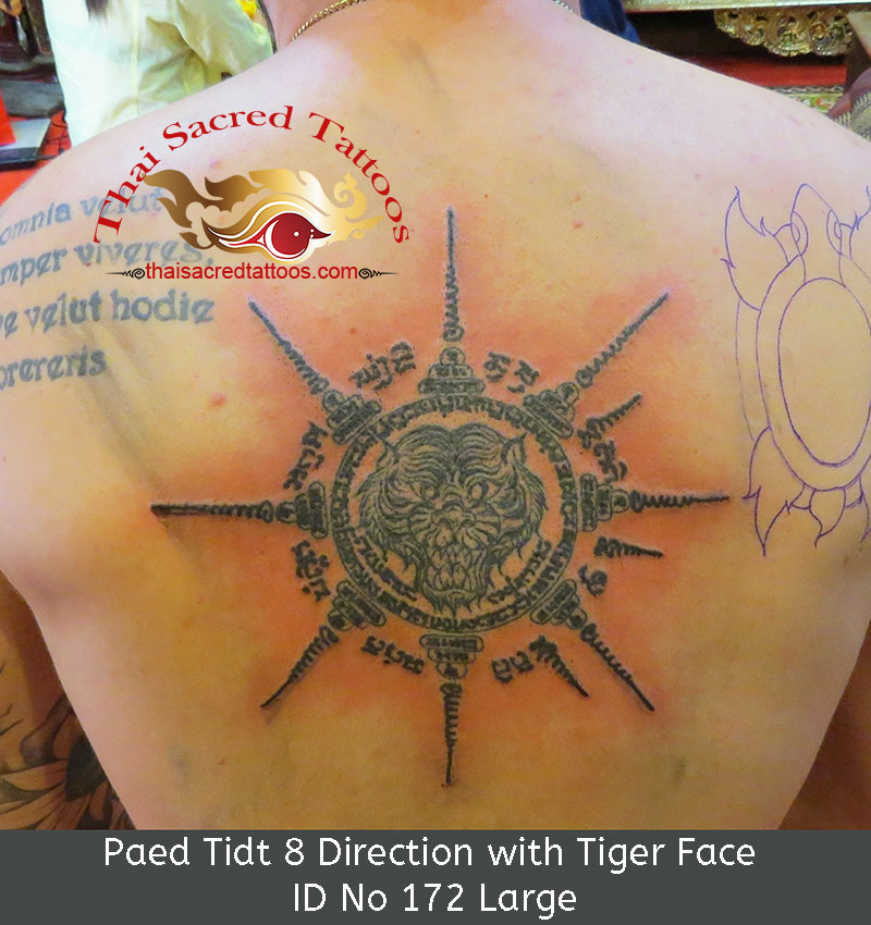 Paed Tidt 8 Direction with Tiger Face, Large Size