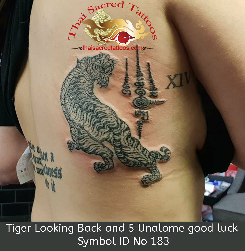 Thai Tattoo Single Tiger Looking back with 5 Unalome good luck Symbol